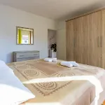 Evica 1